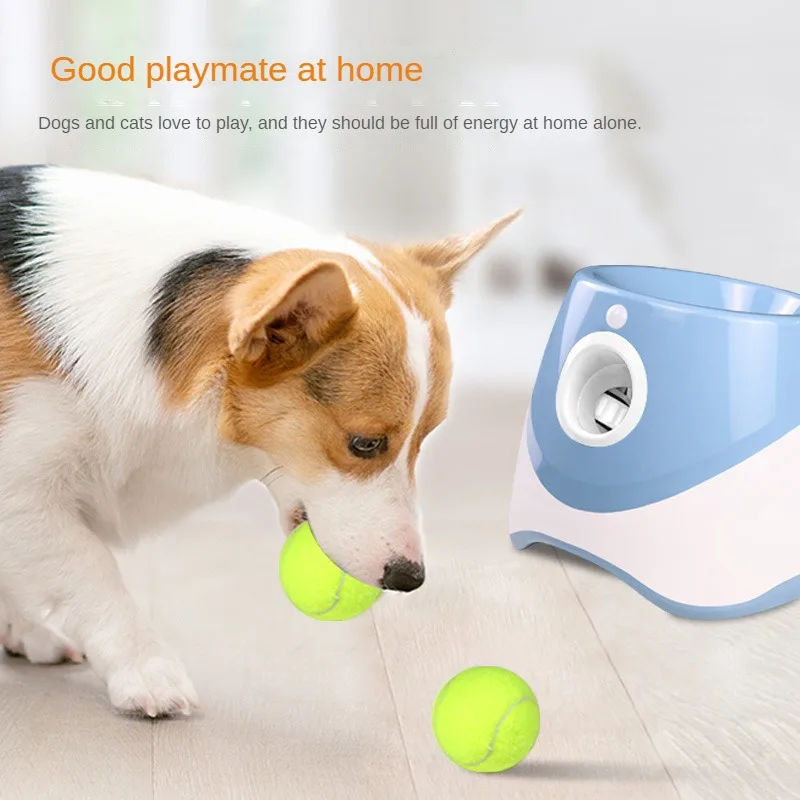 Hondentenniswerper Automatisch - Catapult Launcher Toy recensie en prijs